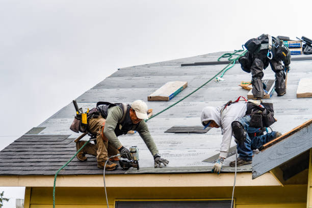 Professional Roofing technician working in Edwards, MO